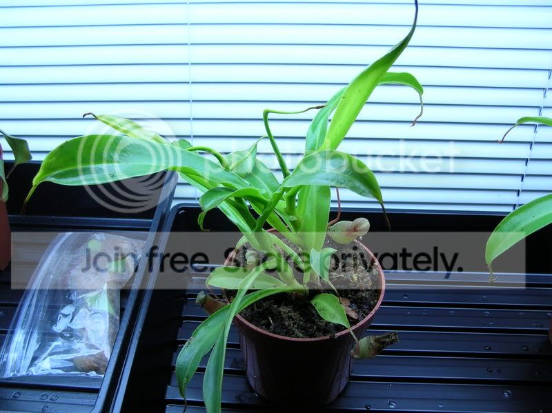 dscn2549.jpg