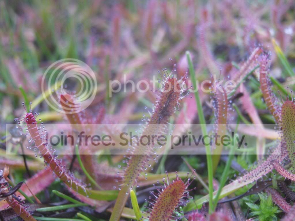 IMG_2601.jpg