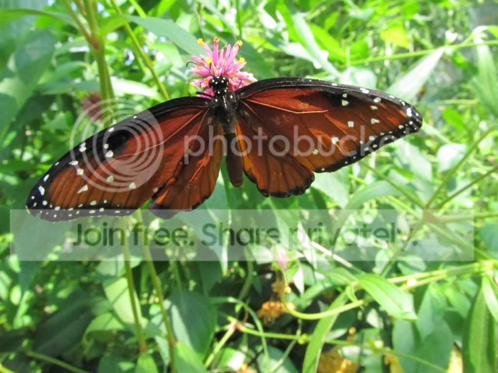 IMG_8352.jpg