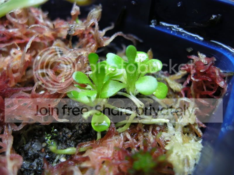 DSCN5660.jpg