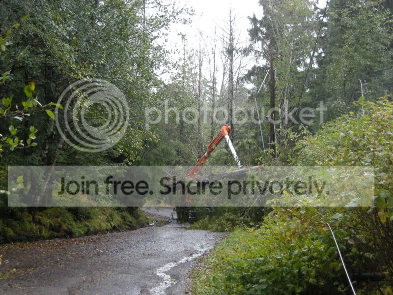 DSCN5469.jpg