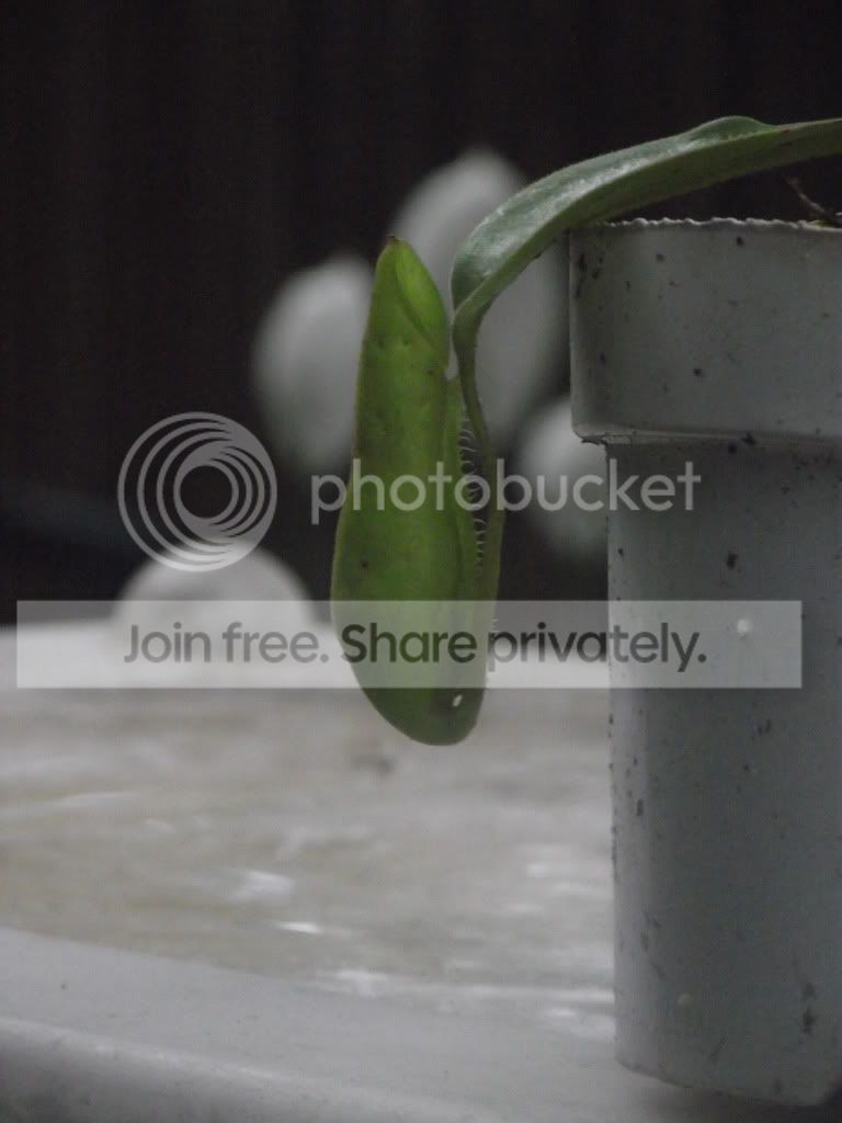 DSCF5249.jpg