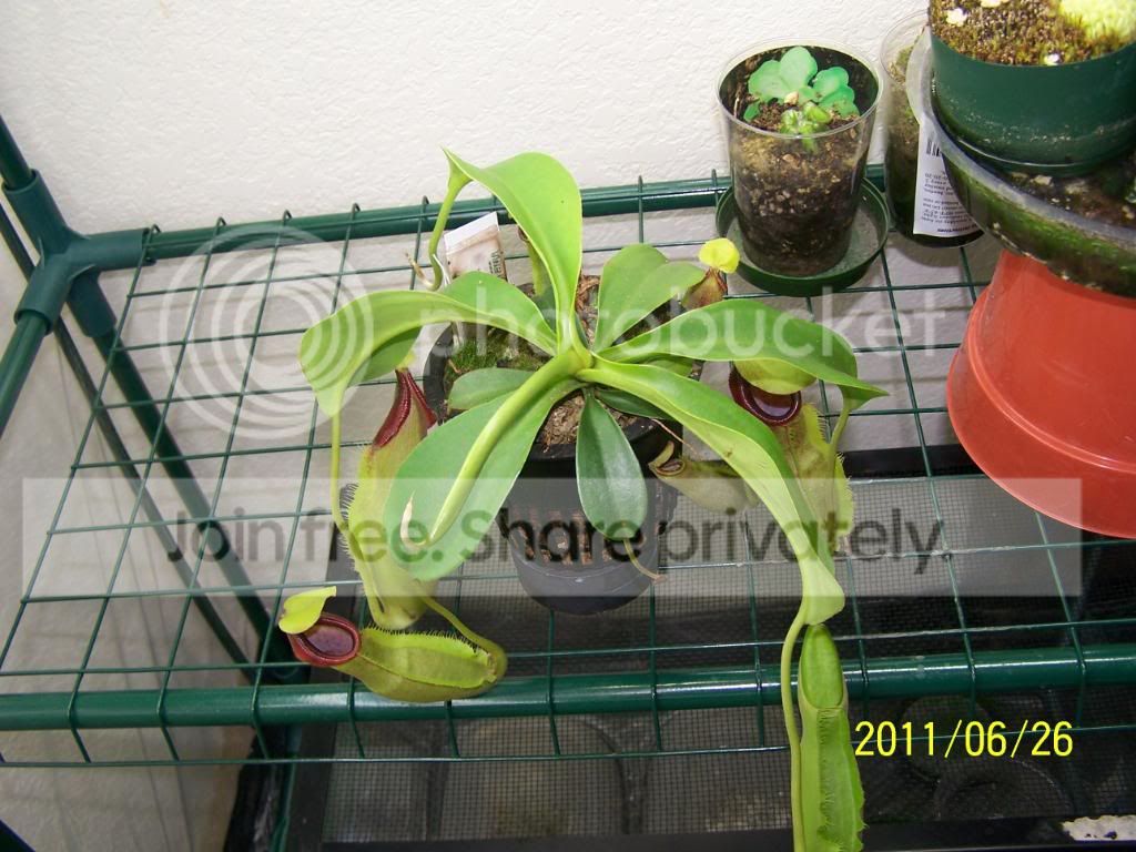 100_4728.jpg