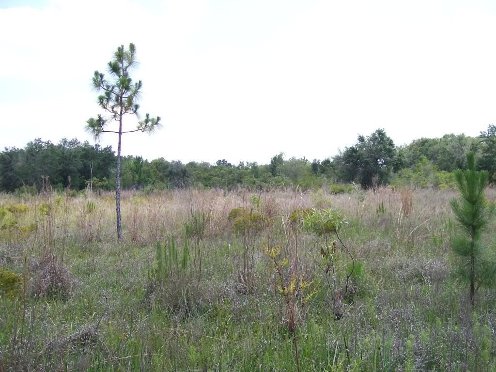 hike3.jpg