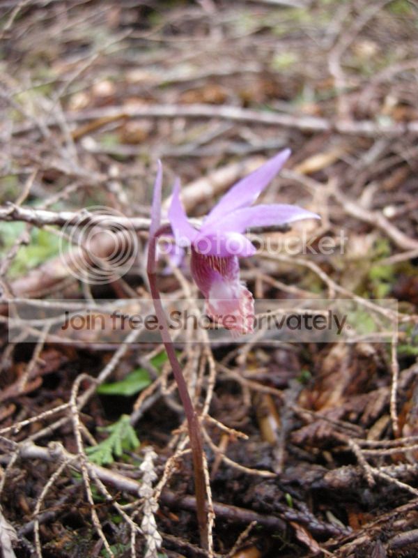 DSCN7395.jpg