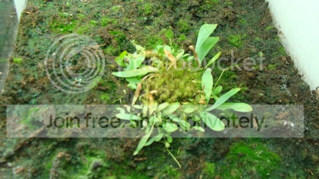 DSC08685.jpg