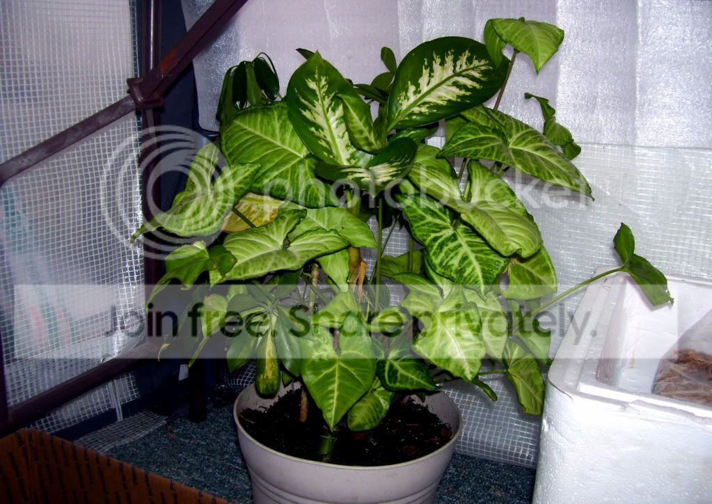 100_6670.jpg