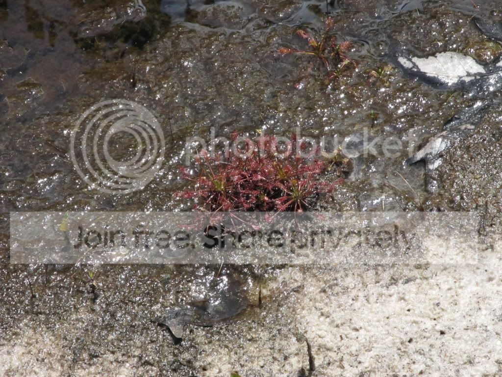 IMG_6361.jpg