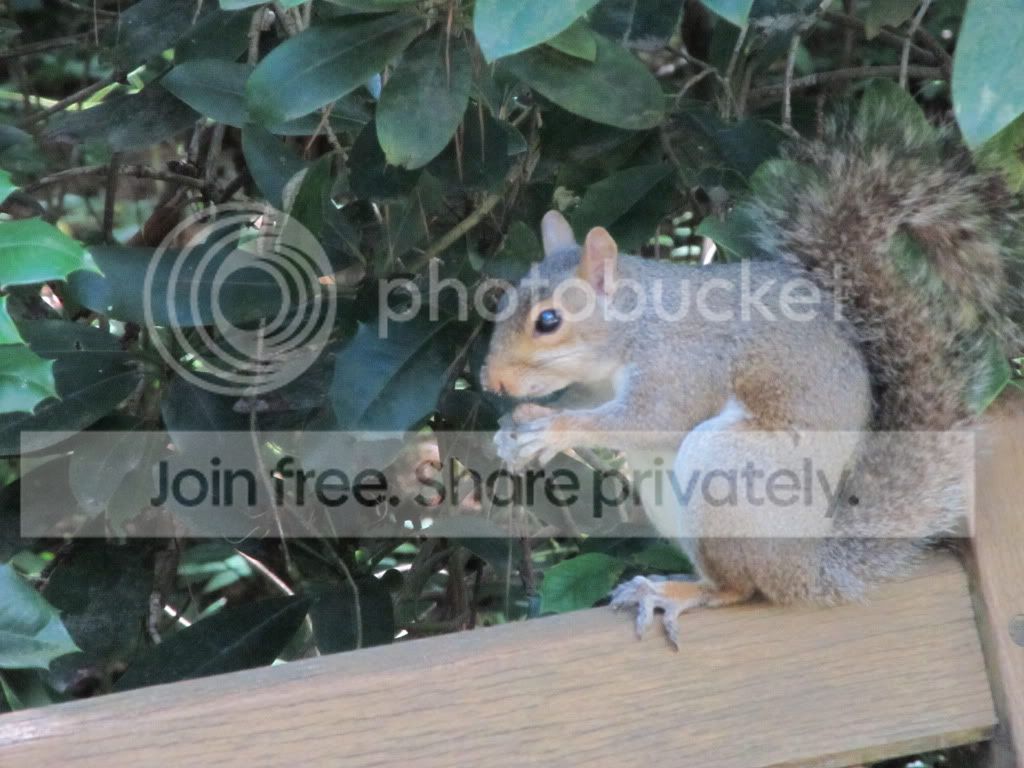 IMG_7174.jpg