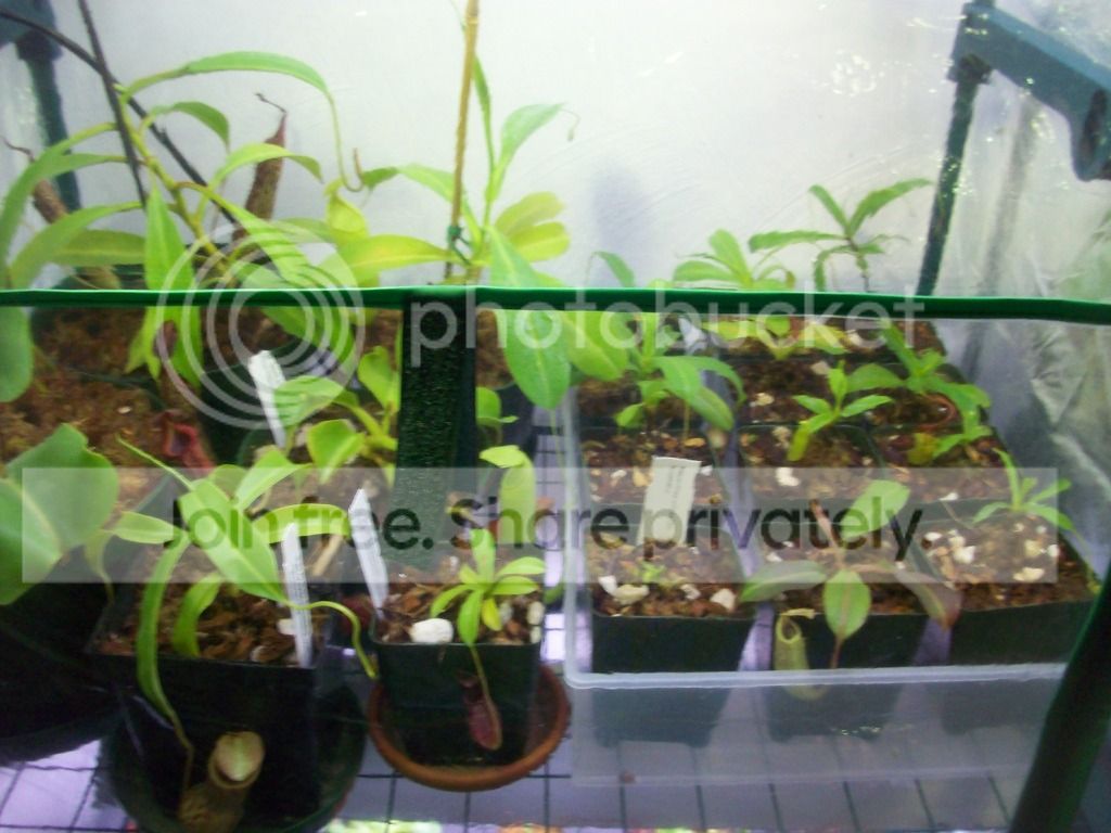100_3874.jpg