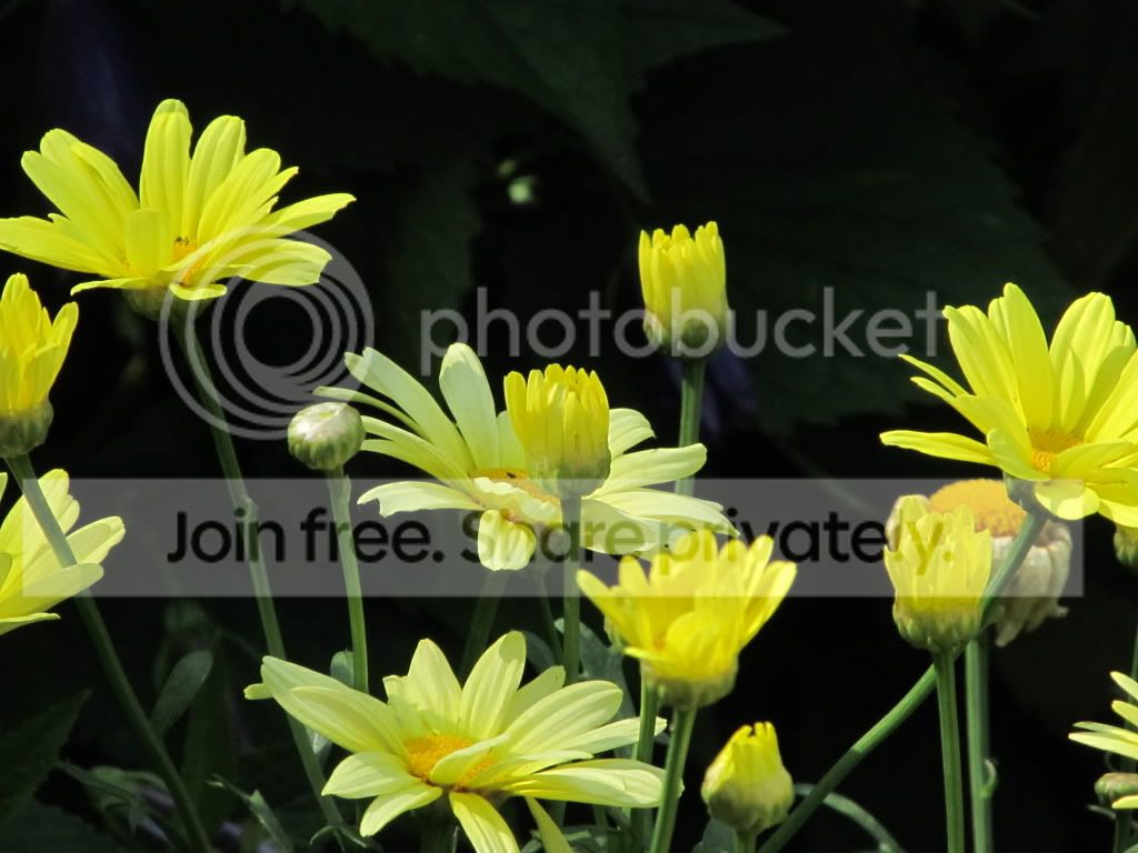 IMG_4836.jpg