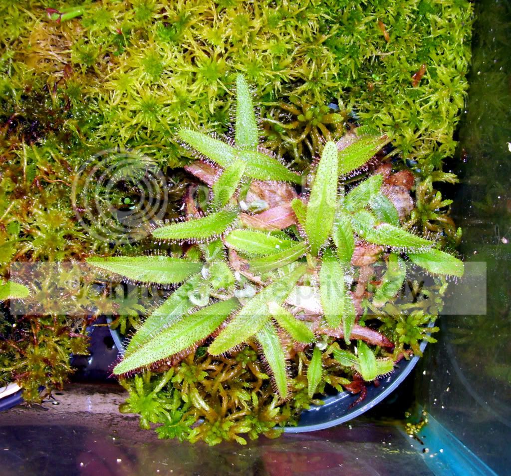 100_7794.jpg