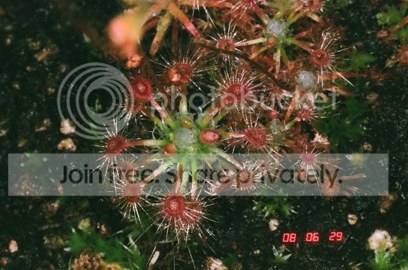 01370011.jpg