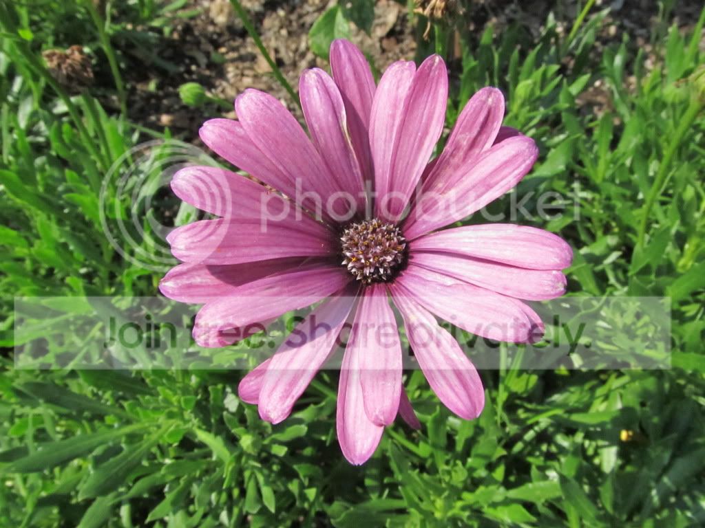 IMG_8383.jpg