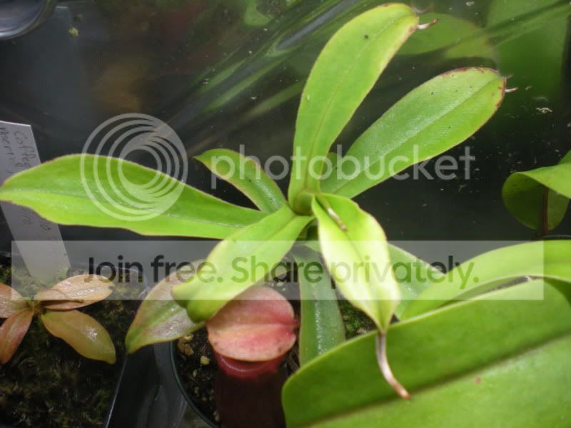 DSCN3079.jpg