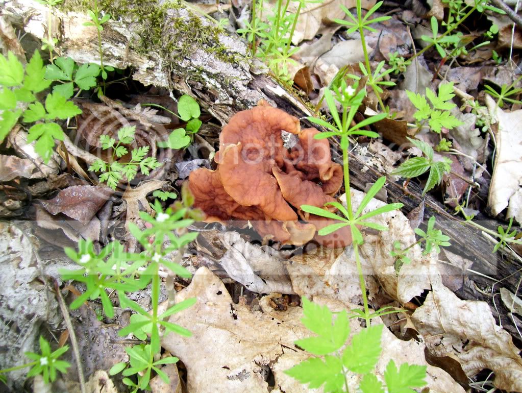 100_8290.jpg