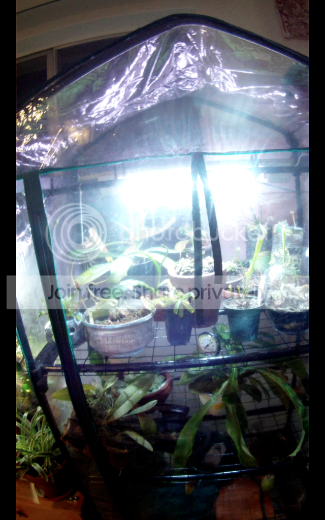 minigreen_zps6c93be09.png