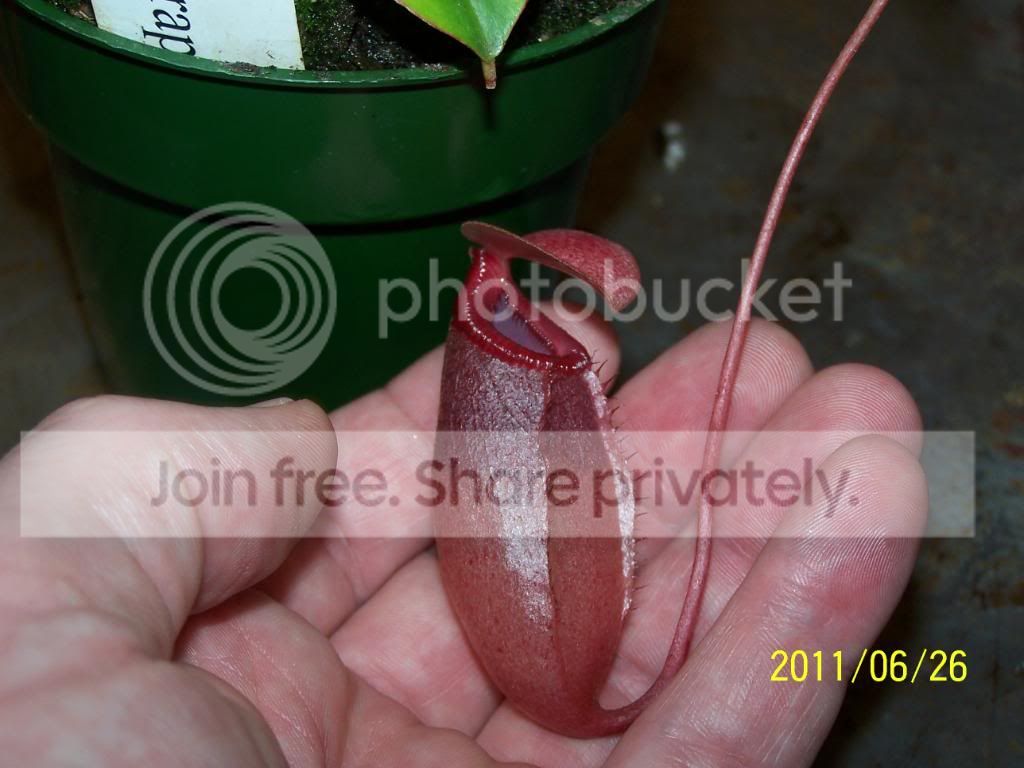 100_4719.jpg