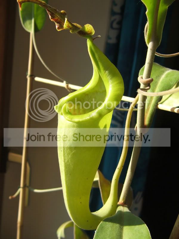 DSCF1788.jpg