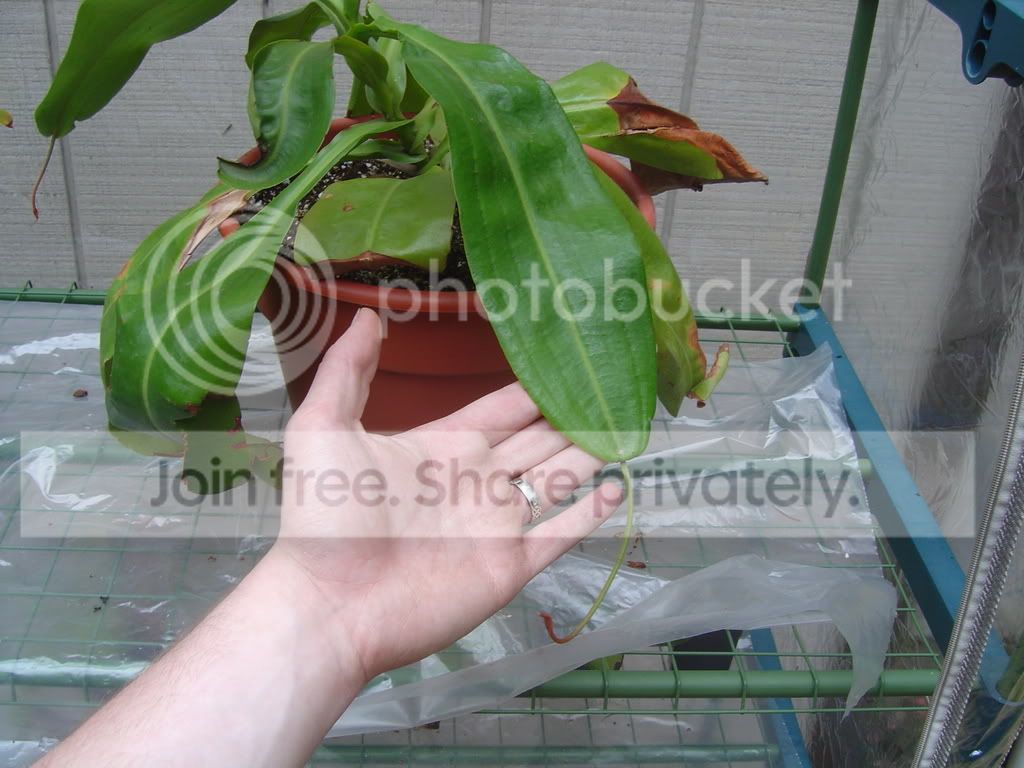 CPs7-30-08013.jpg