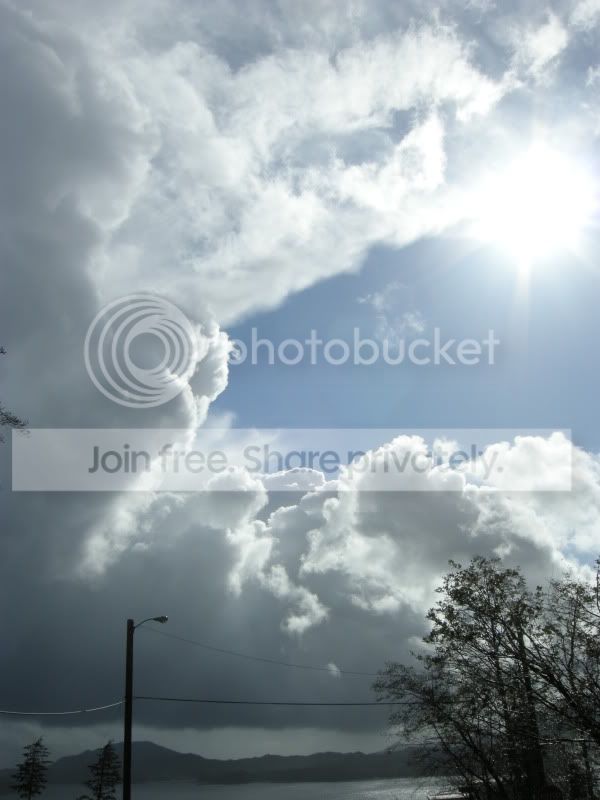 DSCN6347.jpg