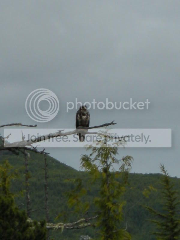 DSCN6112.jpg