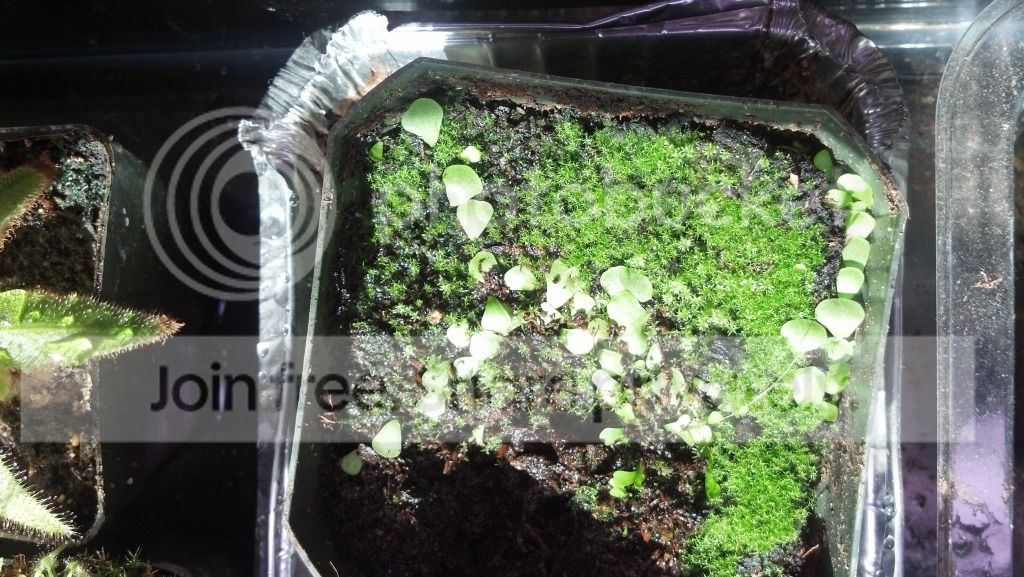 2012-09-16_15-32-30_373.jpg