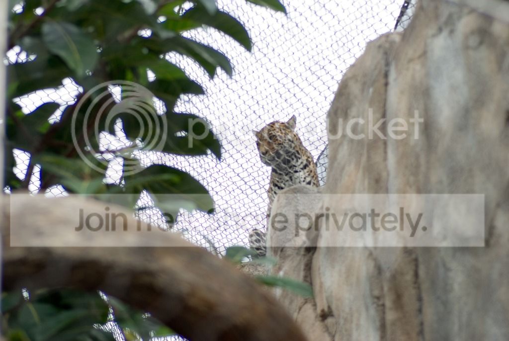 IMGP3562_zpsfxstewdi.jpg