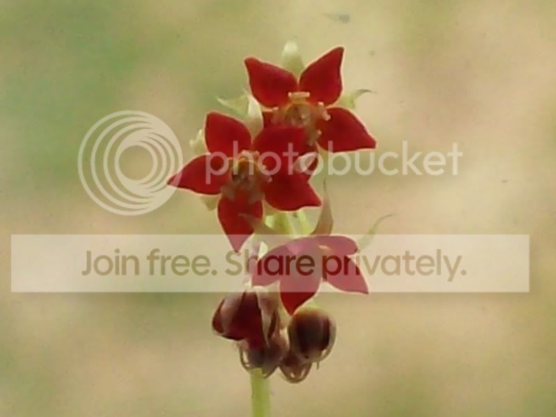 100_9658.jpg