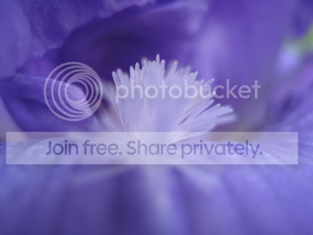 IMG_0017.jpg