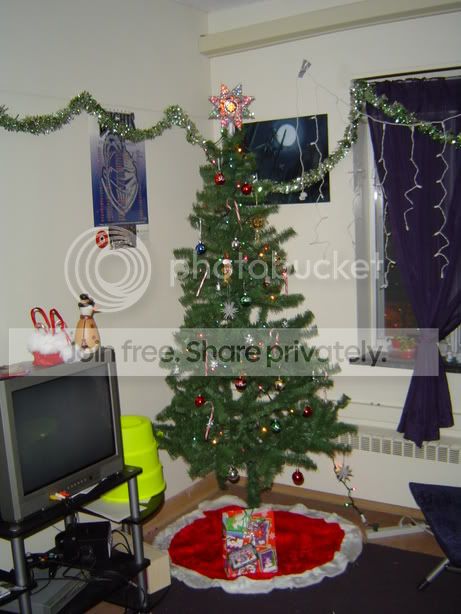 suitechristmas05_treelight.jpg
