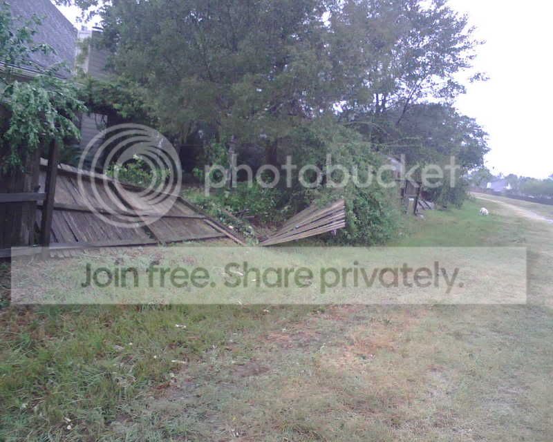 IMG00553.jpg