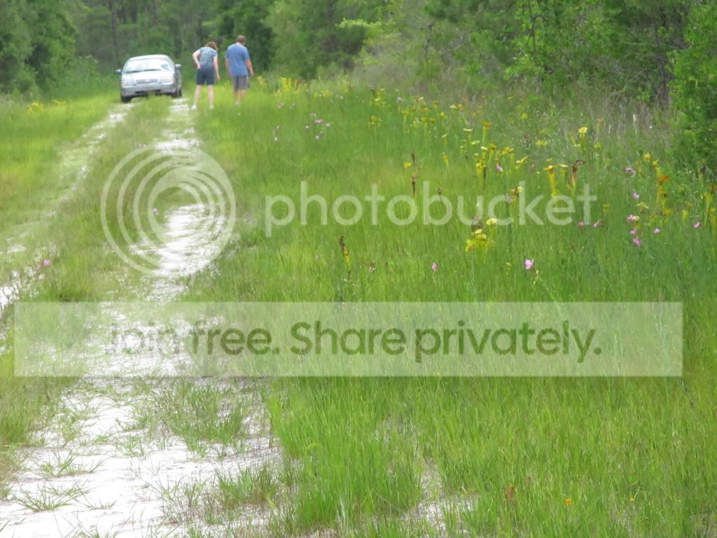 IMG_6337.jpg