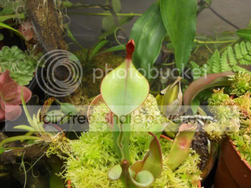 Htequila_7-15-12.jpg