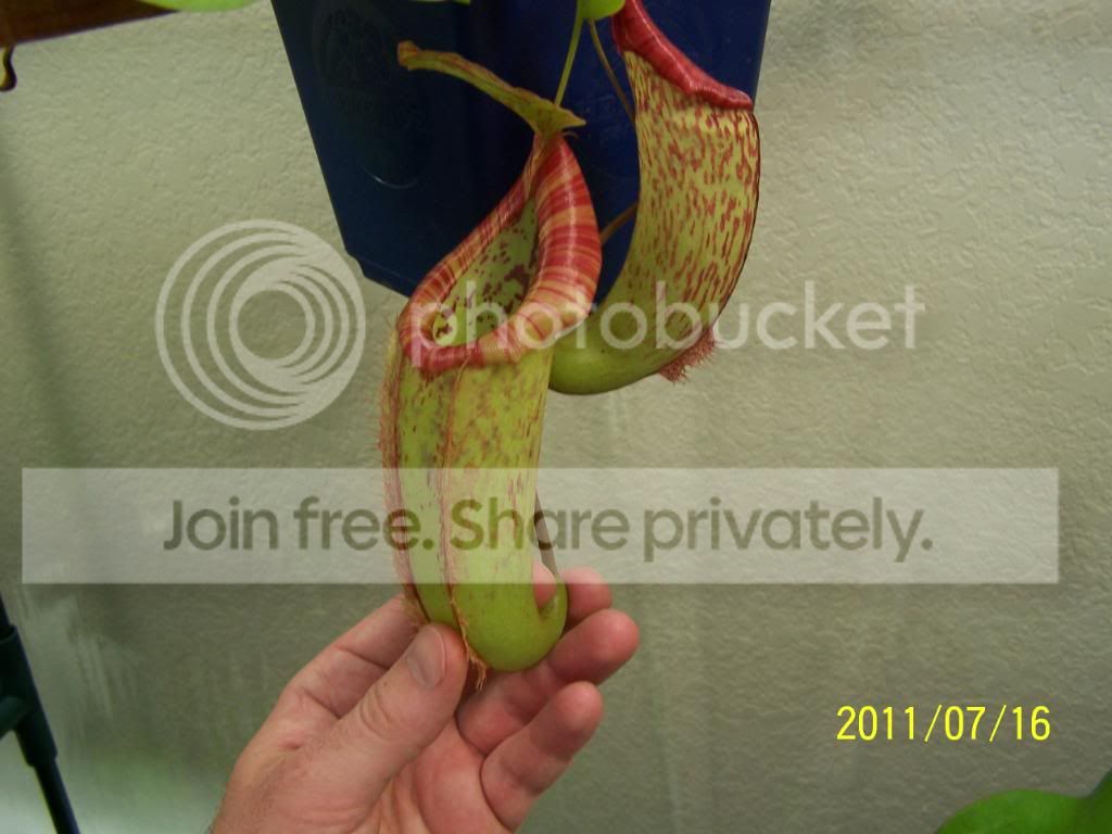 100_4833.jpg