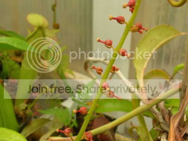 DSCN4405.jpg