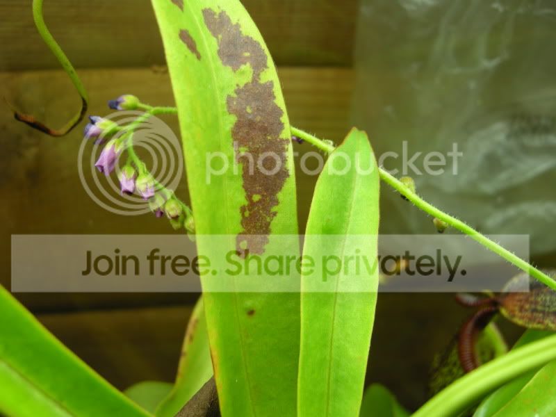 DSCN6870.jpg