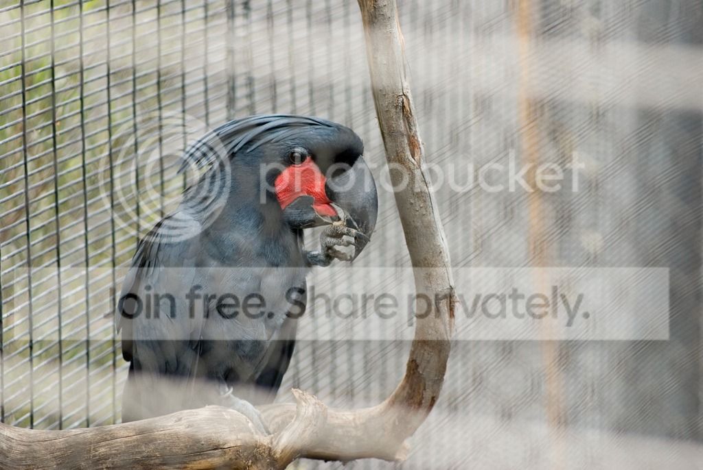 IMGP3619_zpsqf93ex6b.jpg