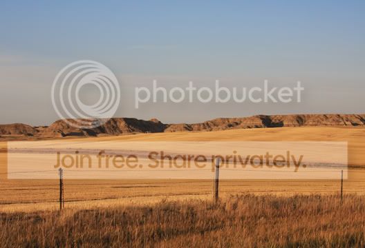 IMG_1769.jpg