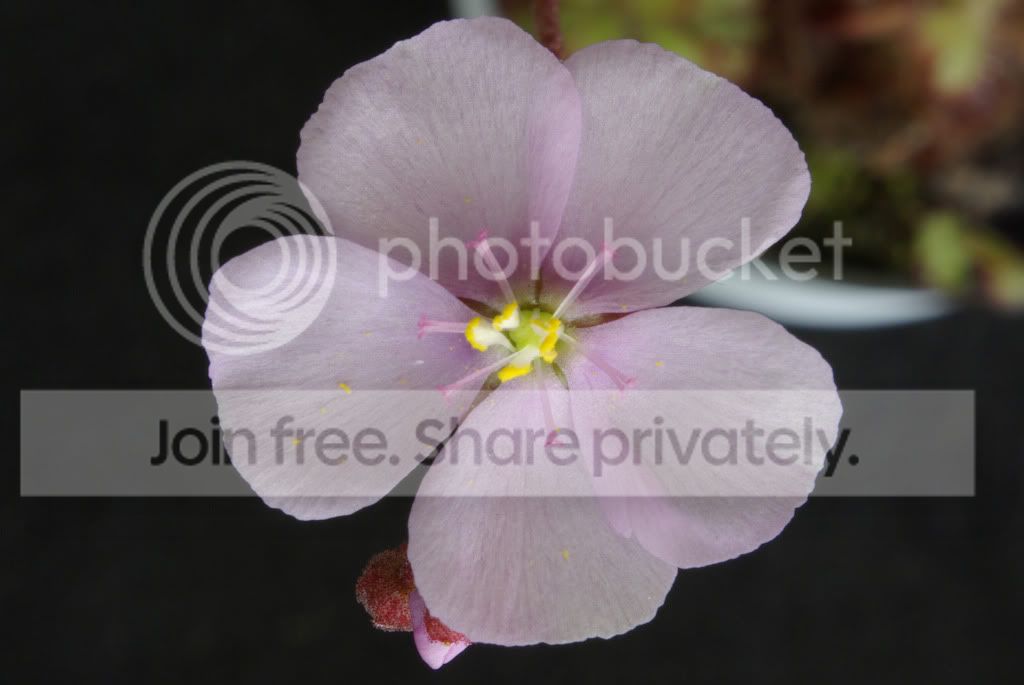 _IGP0700a.jpg