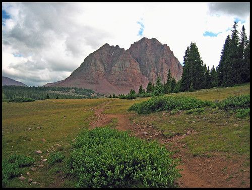 5504340195_aa69059897.jpg