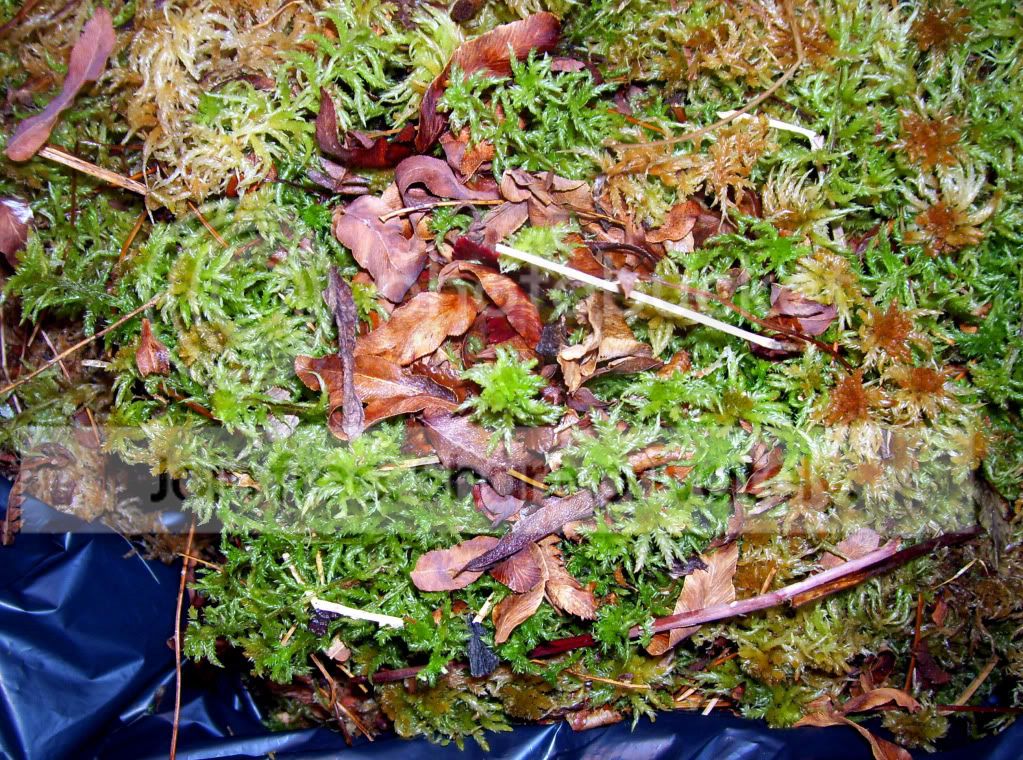 100_7526-1.jpg