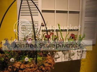 IMG_7071.jpg
