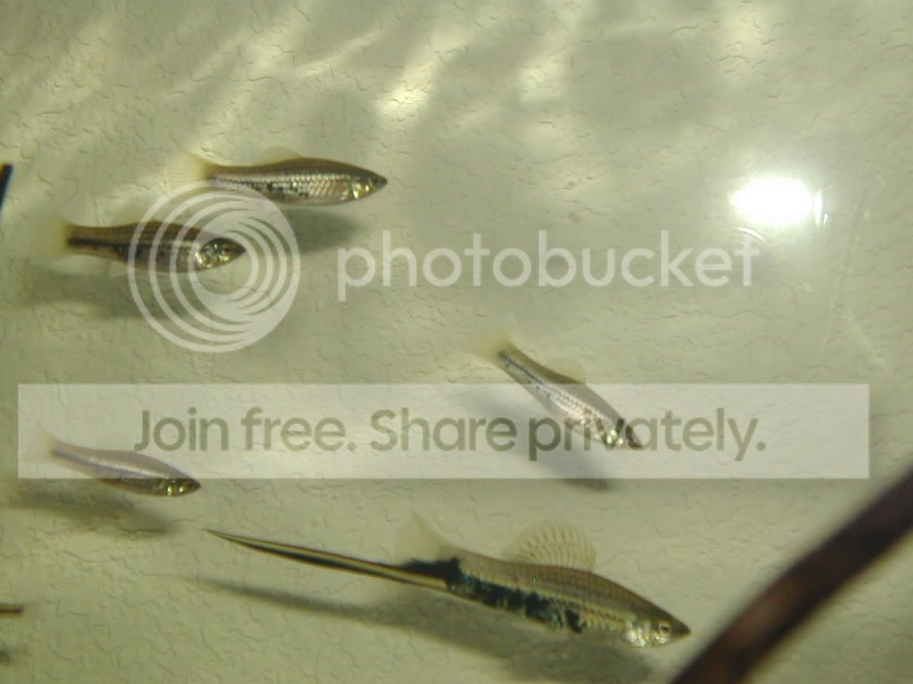DSCN5606.jpg