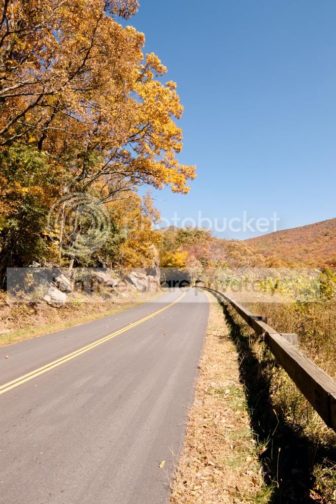 highway_zpsf8458805.jpg