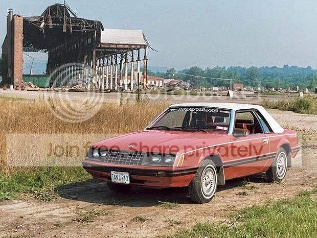 scots-mustang.jpg