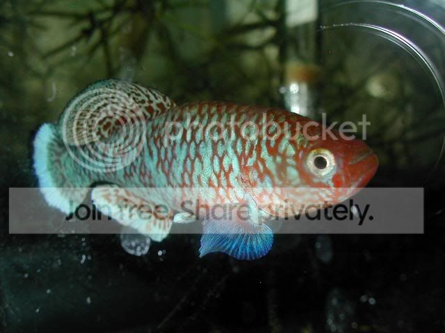 DSCN15190.jpg