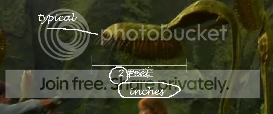 yay.jpg