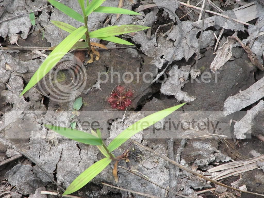 IMG_6330.jpg