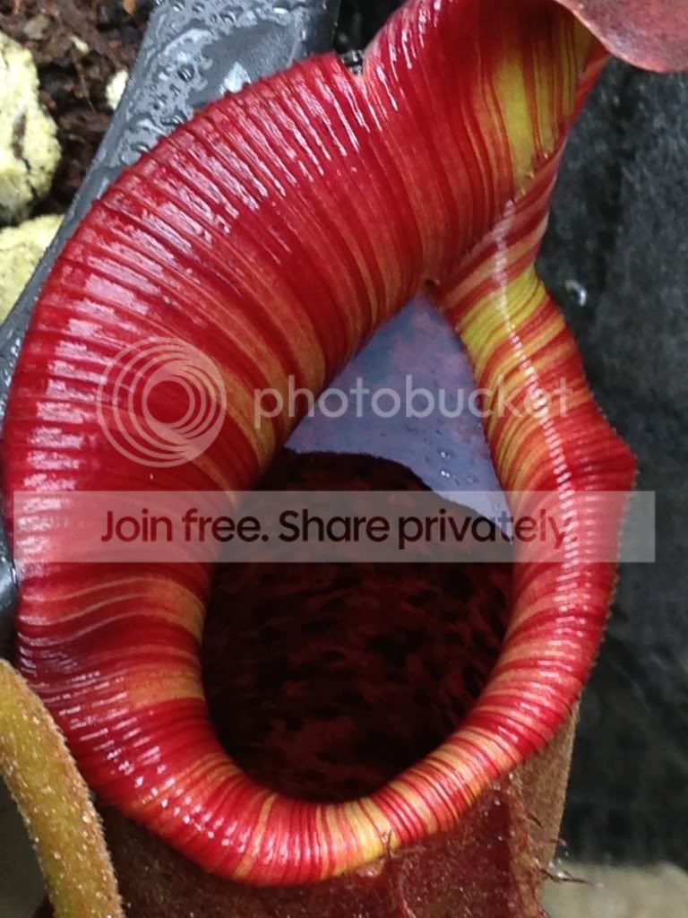 image_zps95dfe3ad.jpg